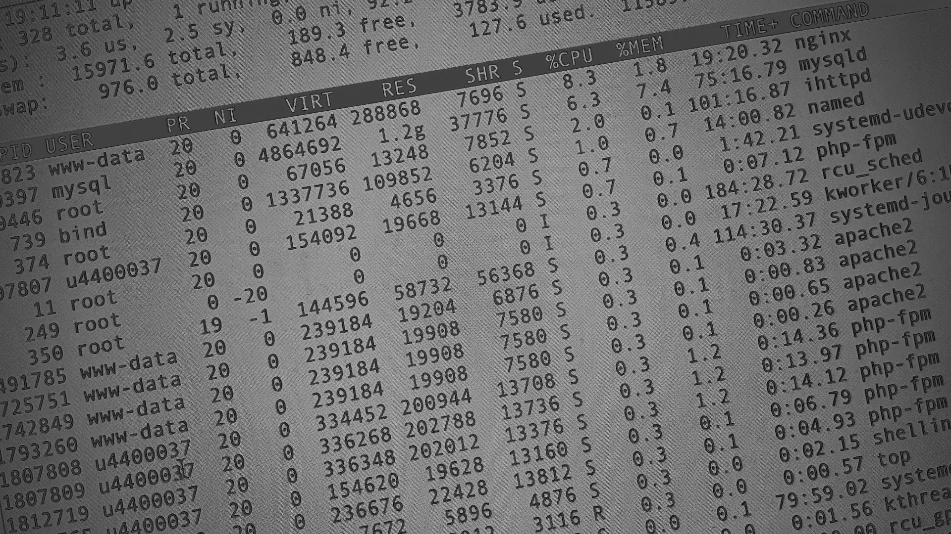 Настройка сервера в Михайлове