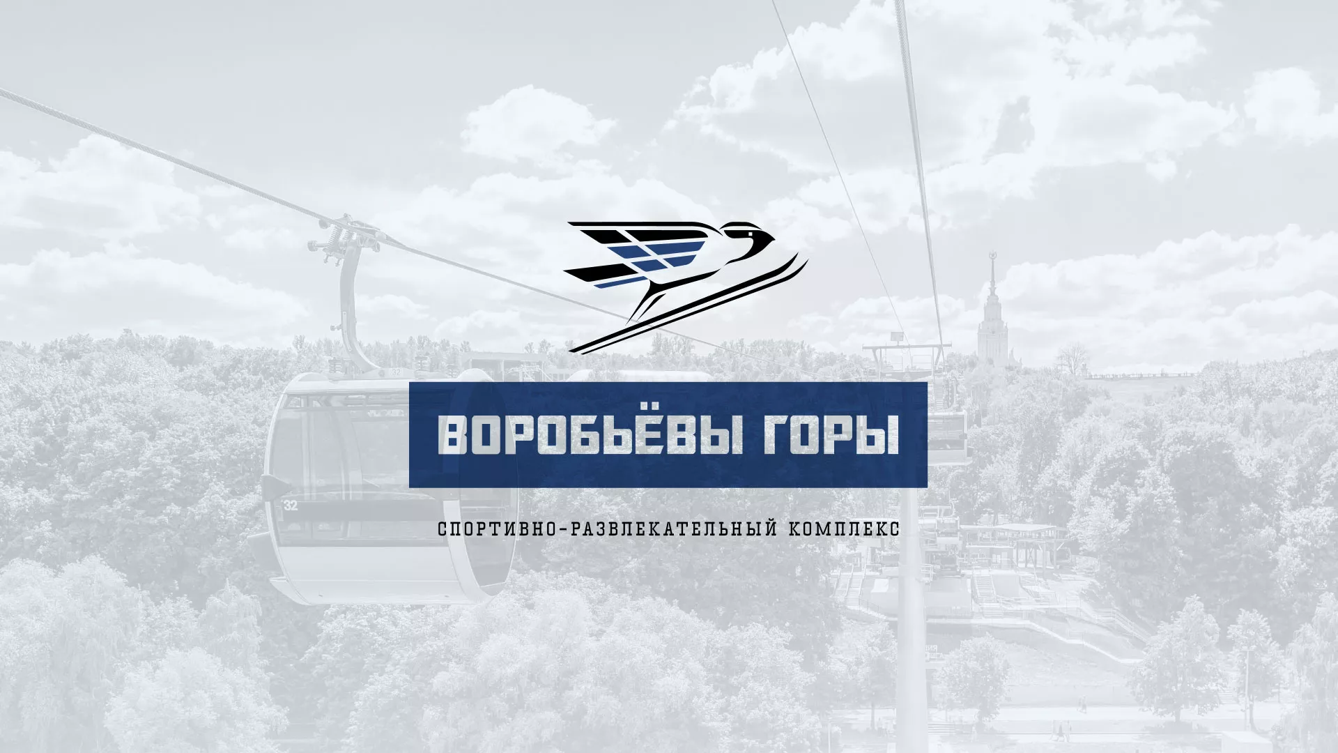Разработка сайта в Михайлове для спортивно-развлекательного комплекса «Воробьёвы горы»