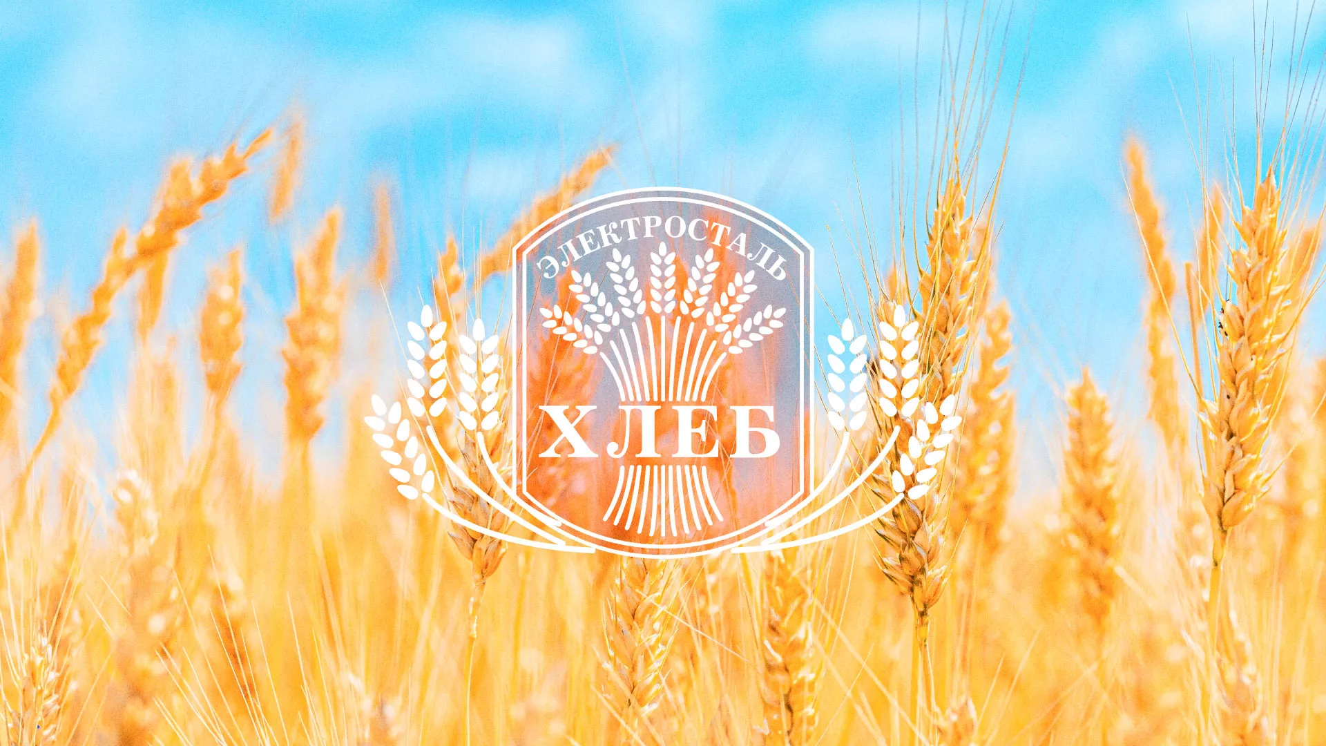 Создание сайта для хлебзавода в Михайлове